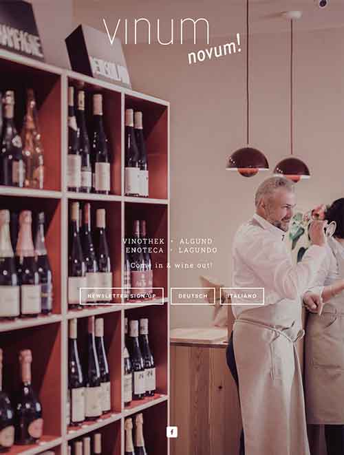 Vinum Novum Website